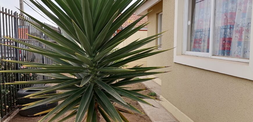 ARRIENDO CASA – AV ULRIKSEN – LA SERENA
