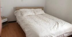 VENTA AMPLIA CASA SECTOR NOS – SANTIAGO