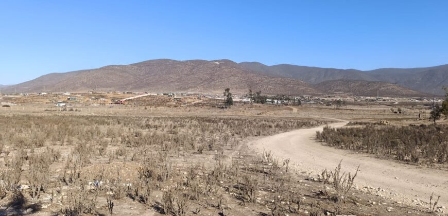 VENTA 5 HECTAREAS PAN DE AZUCAR – COQUIMBO