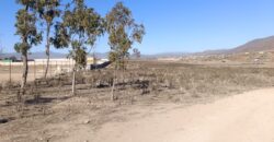 VENTA 5 HECTAREAS PAN DE AZUCAR – COQUIMBO