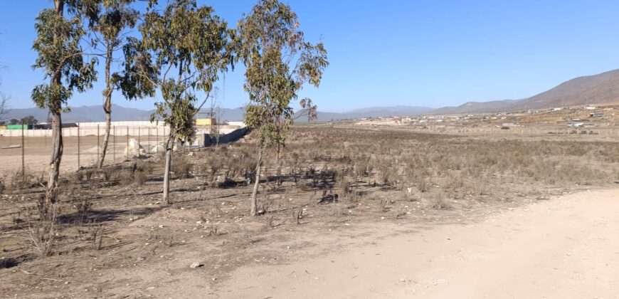 VENTA 5 HECTAREAS PAN DE AZUCAR – COQUIMBO