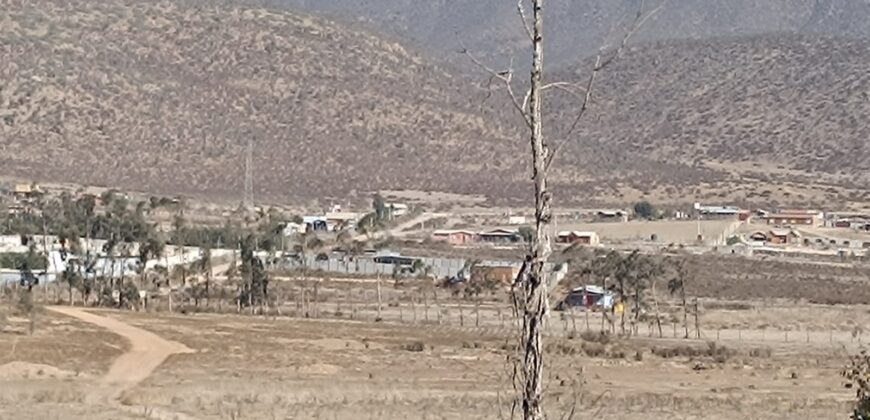 VENTA 5 HECTAREAS PAN DE AZUCAR – COQUIMBO