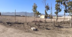 VENTA 5 HECTAREAS PAN DE AZUCAR – COQUIMBO
