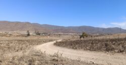 VENTA 5 HECTAREAS PAN DE AZUCAR – COQUIMBO