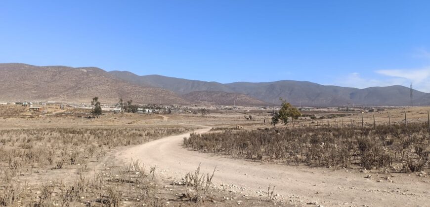 VENTA 5 HECTAREAS PAN DE AZUCAR – COQUIMBO