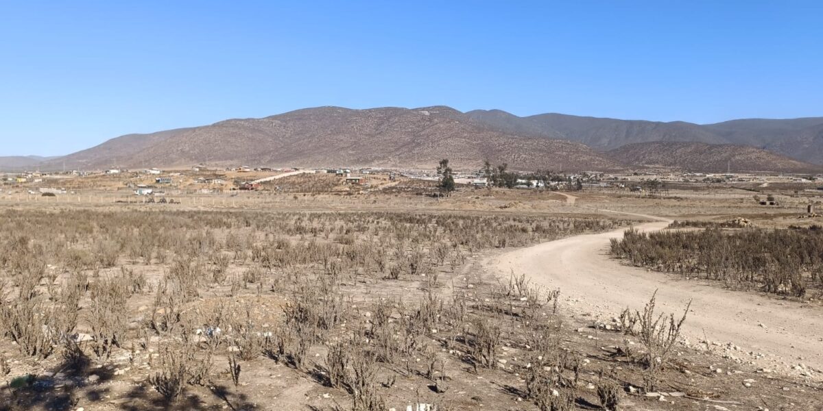 VENTA 5 HECTAREAS PAN DE AZUCAR – COQUIMBO