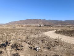 VENTA 5 HECTAREAS PAN DE AZUCAR – COQUIMBO