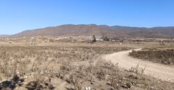 VENTA 5 HECTAREAS PAN DE AZUCAR – COQUIMBO
