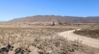 VENTA 5 HECTAREAS PAN DE AZUCAR – COQUIMBO