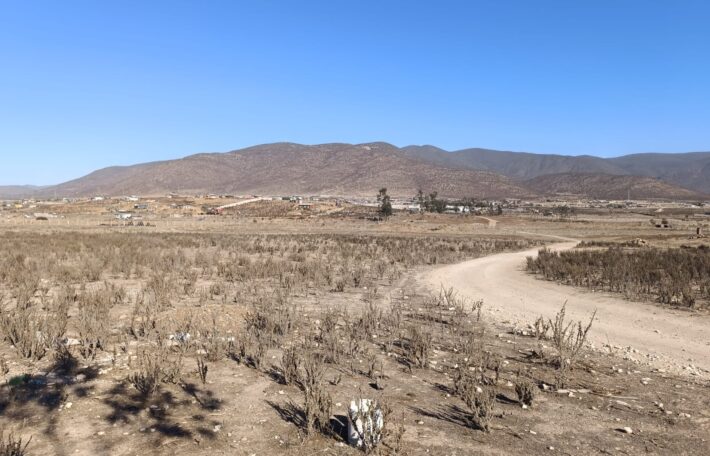 VENTA 5 HECTAREAS PAN DE AZUCAR – COQUIMBO