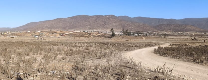 VENTA 5 HECTAREAS PAN DE AZUCAR – COQUIMBO
