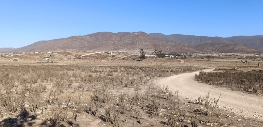 VENTA 5 HECTAREAS PAN DE AZUCAR – COQUIMBO