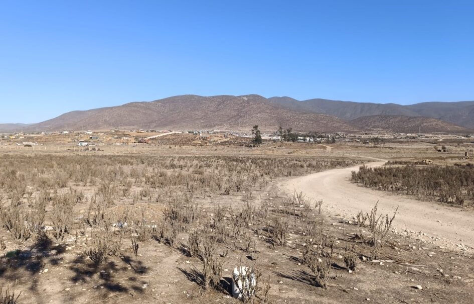 VENTA 5 HECTAREAS PAN DE AZUCAR – COQUIMBO
