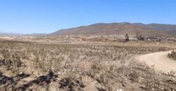 VENTA 5 HECTAREAS PAN DE AZUCAR – COQUIMBO