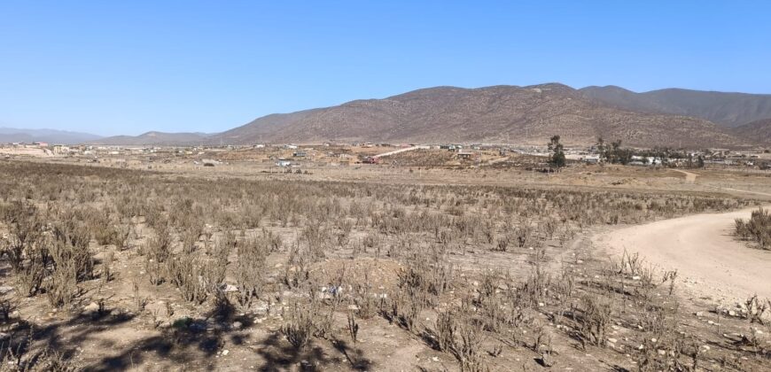 VENTA 5 HECTAREAS PAN DE AZUCAR – COQUIMBO
