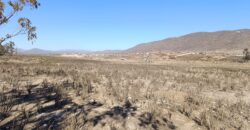 VENTA 5 HECTAREAS PAN DE AZUCAR – COQUIMBO