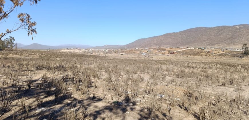 VENTA 5 HECTAREAS PAN DE AZUCAR – COQUIMBO
