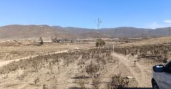 VENTA 5 HECTAREAS PAN DE AZUCAR – COQUIMBO