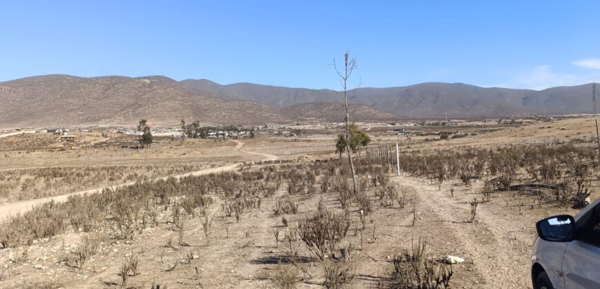 VENTA 5 HECTAREAS PAN DE AZUCAR – COQUIMBO