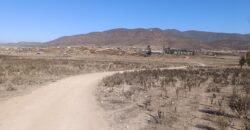 VENTA 5 HECTAREAS PAN DE AZUCAR – COQUIMBO