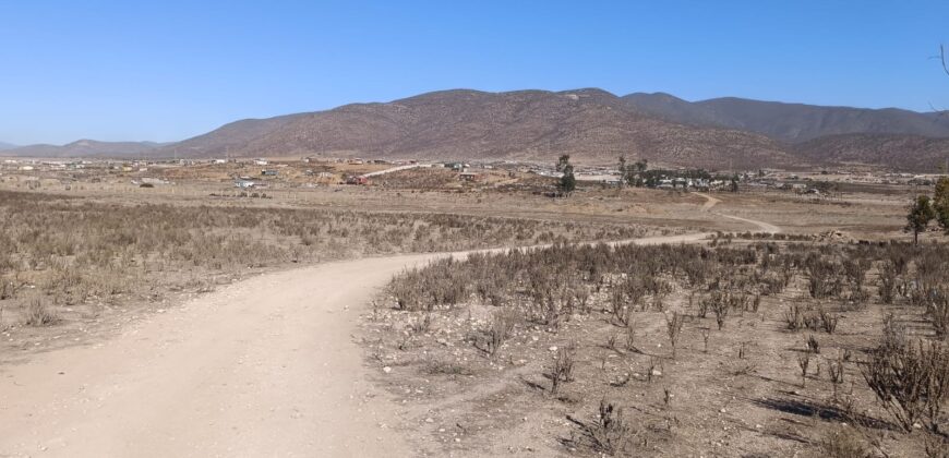 VENTA 5 HECTAREAS PAN DE AZUCAR – COQUIMBO