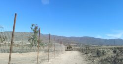 VENTA 5 HECTAREAS PAN DE AZUCAR – COQUIMBO