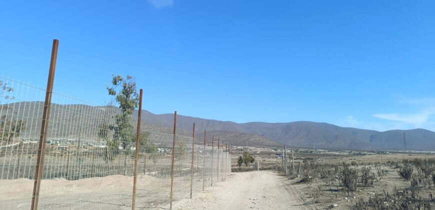 VENTA 5 HECTAREAS PAN DE AZUCAR – COQUIMBO