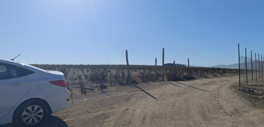 VENTA 5 HECTAREAS PAN DE AZUCAR – COQUIMBO