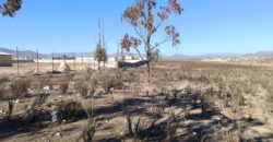 VENTA 5 HECTAREAS PAN DE AZUCAR – COQUIMBO