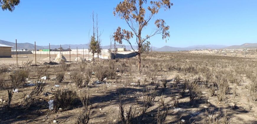 VENTA 5 HECTAREAS PAN DE AZUCAR – COQUIMBO