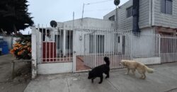 ARRIENDO LOCAL AV PESCADORES – COQUIMBO